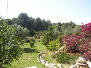 JF 007