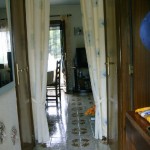 IMAG0003