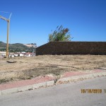 IMG_0341 IMG_0341