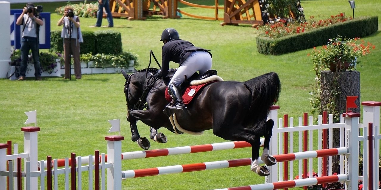 Internationale Reitturniere 2019 in Valencia