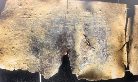 In der Region Maria Alta wurde ein etwa 2. 300 Jahre alter iberischer Text entdeckt