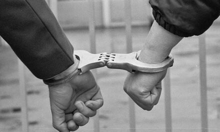 Ein verhafteter in Dénia wegen einbruch und ein anderer wegen Betrug