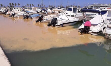 Ein großer Phytoplanktonfleck im Hafen von Dénia