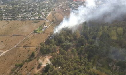 Flugzeuge, Hubschrauber und Feuerwehrleute löschten einen Brand an den Hängen des Montgó in Xàbia.