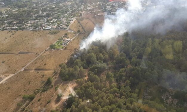 Flugzeuge, Hubschrauber und Feuerwehrleute löschten einen Brand an den Hängen des Montgó in Xàbia.