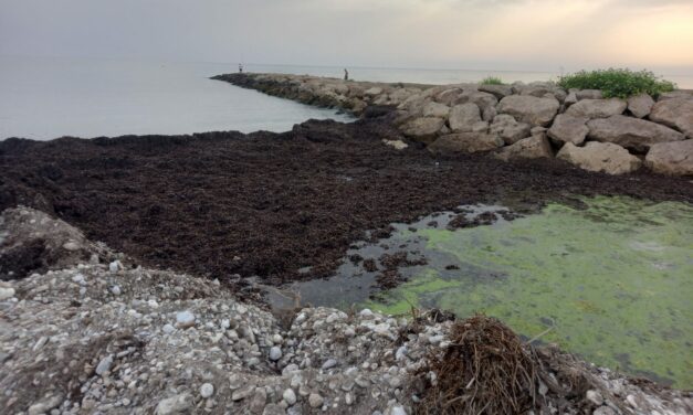 Der Geisterhafen, der den gemeinsamen Fluss von Dénia und Els Poblets ruiniert hat