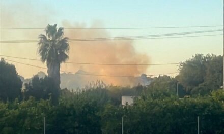 Siebter Brand in zwei Tagen in der Region Marina Alta