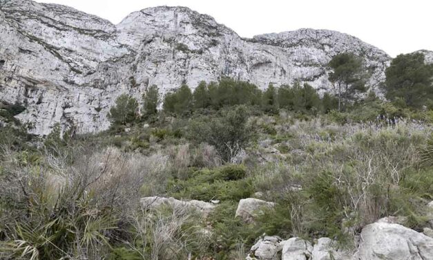 Die Dürre trifft Montgó