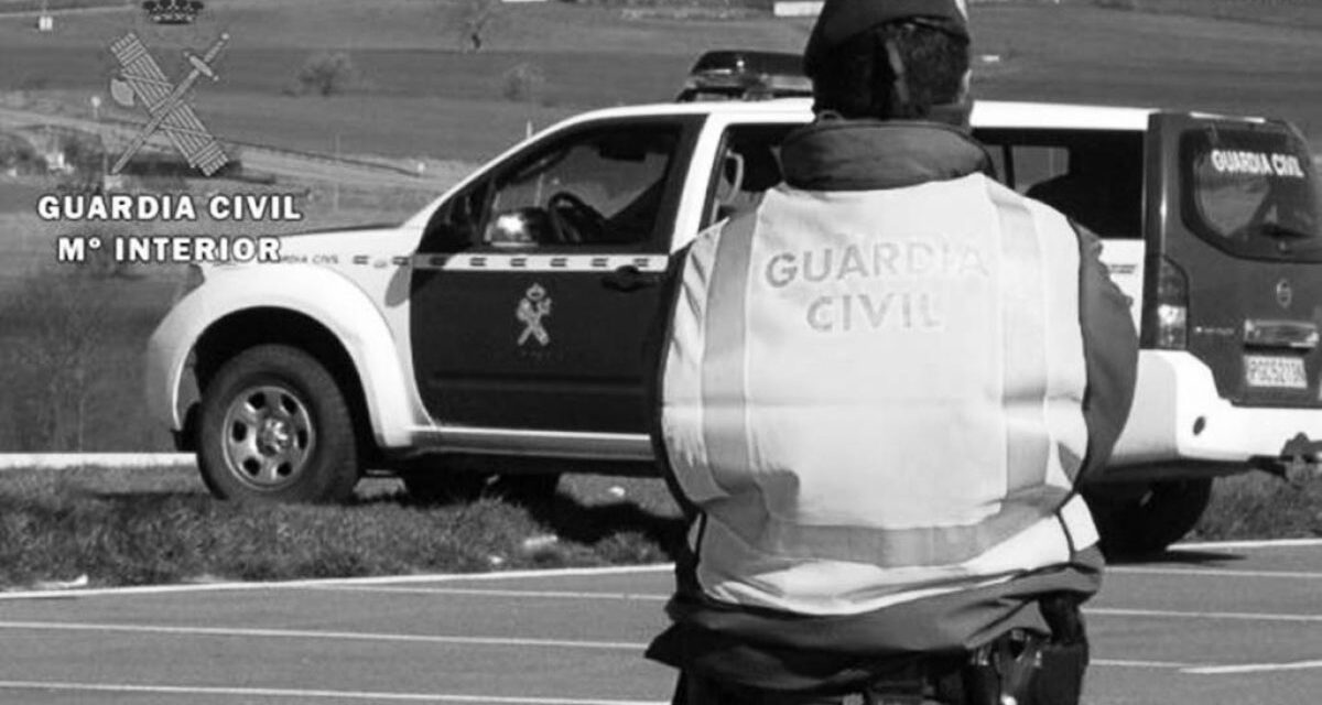 Eine Frau überfährt in Valencia zwei Zivilbeamte mit einem Auto, nachdem sie in Denia 50 Liter Öl gestohlen hat