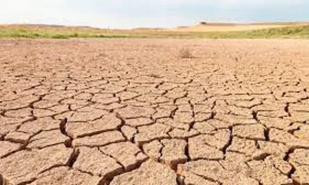 Die schlimmste Dürre seit 33 Jahren in La Marina Alta