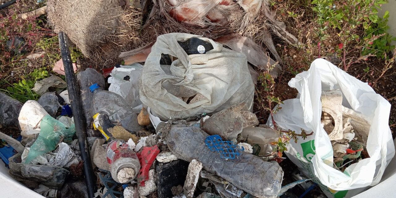 Ein Strand in Dénia wird vom Plastik der DANA befreit und in einem riesigen Topf zurückgelassen, weil es an Containern fehlt