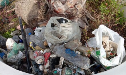 Ein Strand in Dénia wird vom Plastik der DANA befreit und in einem riesigen Topf zurückgelassen, weil es an Containern fehlt